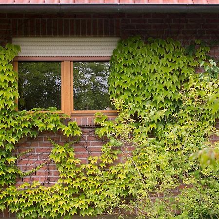 Ferienwohnung Meinersen Exterior foto