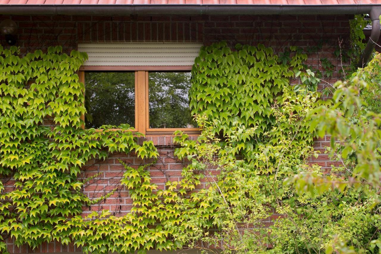 Ferienwohnung Meinersen Exterior foto